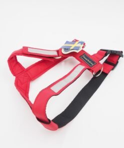 M „Gustaf & Evita“ petnešos