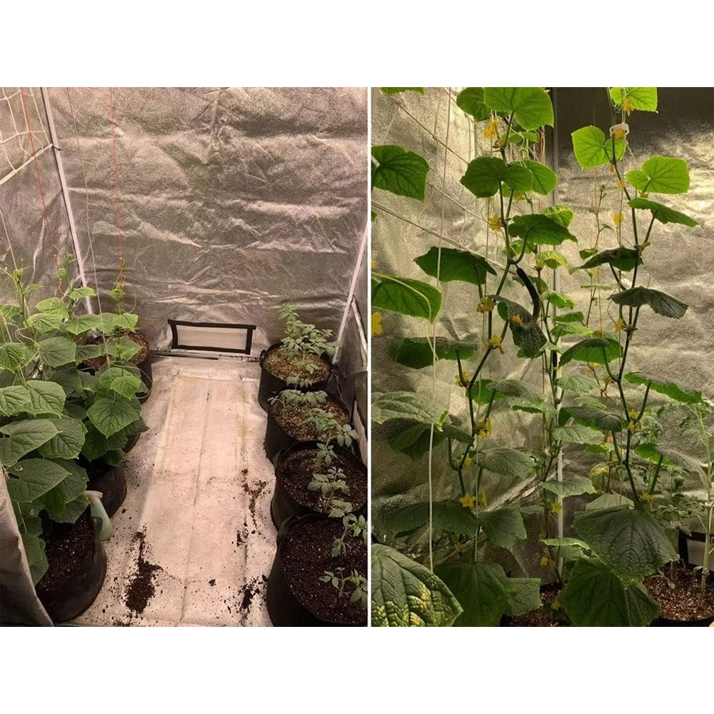 palapine-augalams-grow-tent