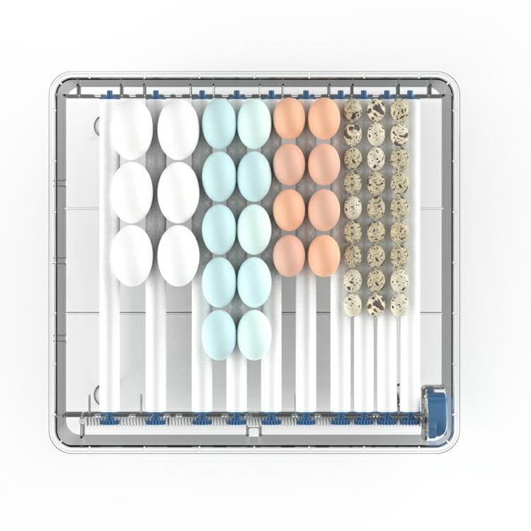 automatinis-kiausiniu-inkubatorius