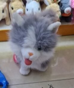 Interanktyvus kačiukas