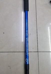 Šiaurietiško ėjimo lazda