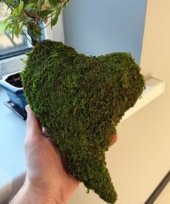 Dekoratyvinė samanų širdis (27 × 20 × 5 cm)