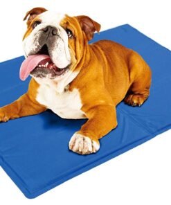 Augintinio Aušinimo kilimėlis