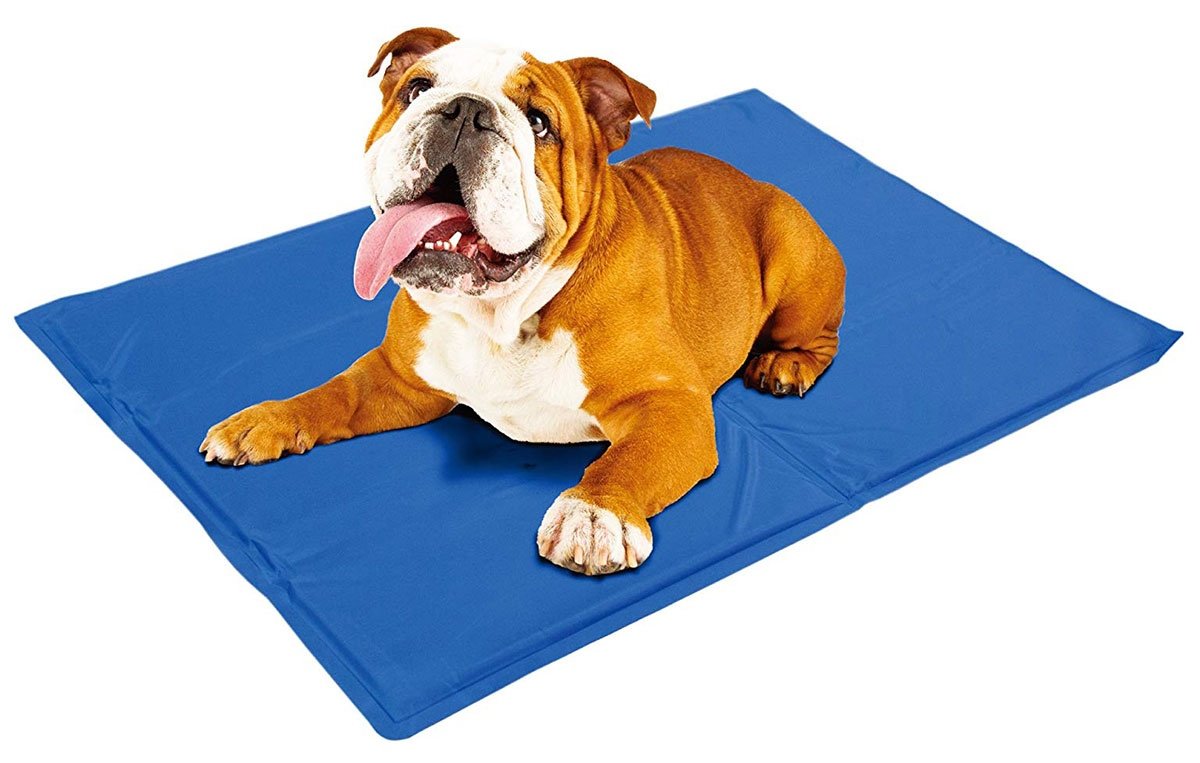 augintinio-ausinimo-kilimelis