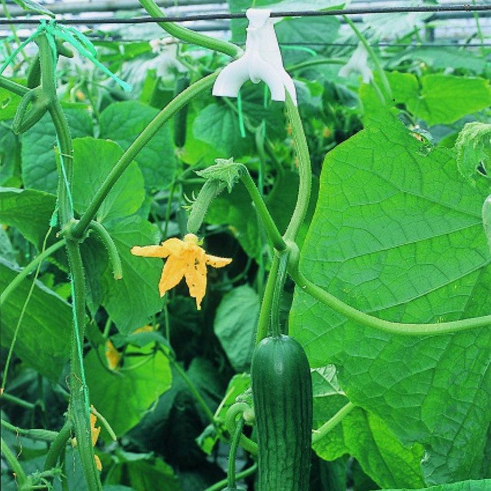 kabliukai-agurkams-10-vnt