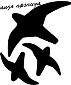 Lipdukas Apsaugai Nuo Paukščių Atsitrenkimo Į Langus