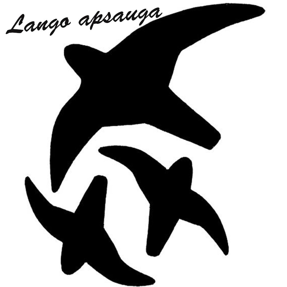 lipdukas-apsaugai-nuo-pauksciu-atsitrenkimo-i-langus