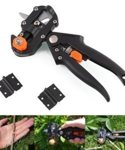 Medelių skiepijimo sekatorius