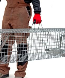 Narvas, spąstai, gaudyklė su kamera jaukui