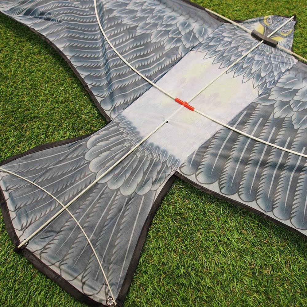 pauksciu-baidykle-aitvaras-vanagas-155-cm