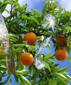 Paukščius atbaidanti juosta