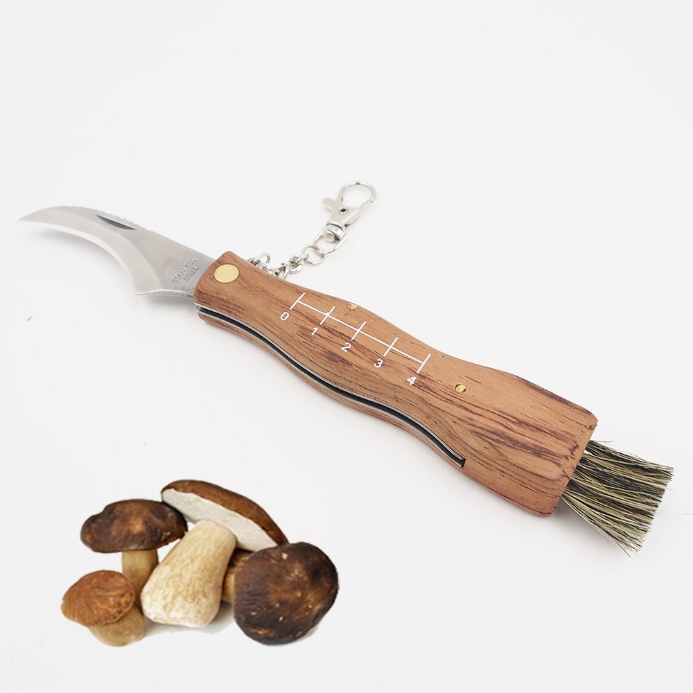 peilis-grybams-xline