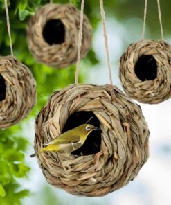 Pintas inkiliukas paukščiams