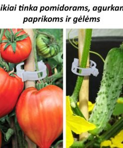 Pomidorų segtukai, 50 vnt.