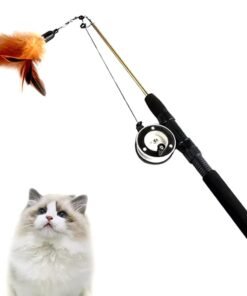 Puikus žaislas katei