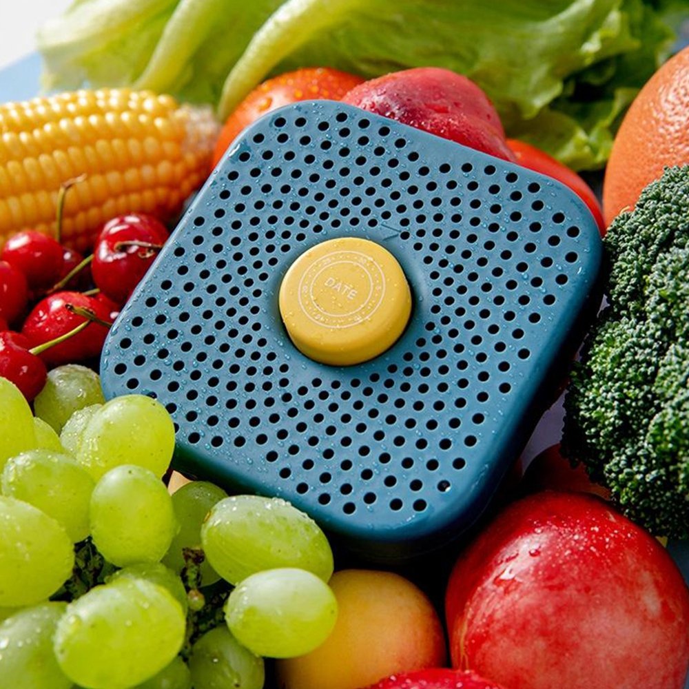 saldytuvo-kvapu-valiklis