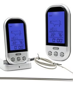 Skaitmeninis Termometras su zondu