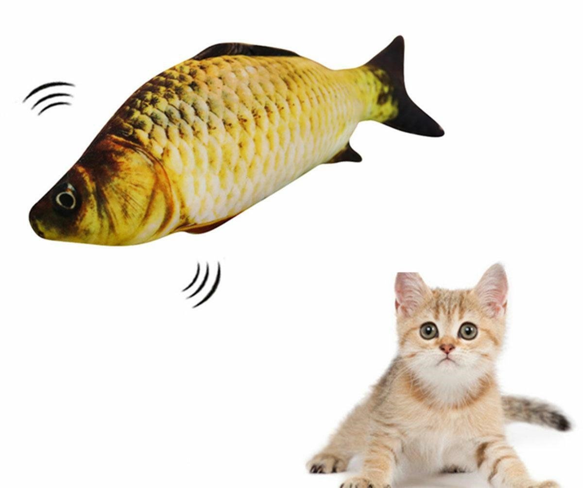 sokinejanti-zuvis-zaislas-katei