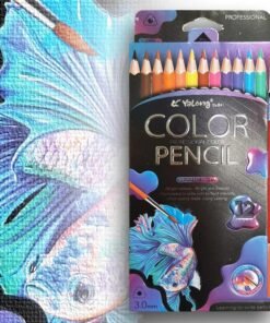 Spalvoti pieštukai + teptukas