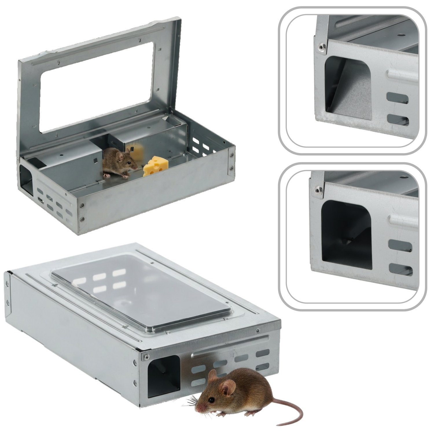 gyva-gaudykle-pelems-26-x-16-x-6-cm