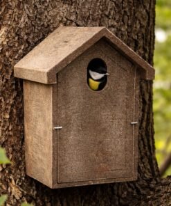 Inkilas zylėms iš polimermedžio su ovalia landa 5 × 3 cm