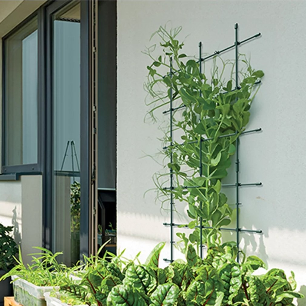 plastikine-augalu-atrama-moduline-sienele-1-vnt