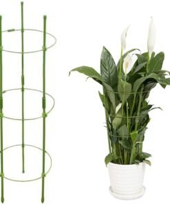 Žiedinė atrama augalams