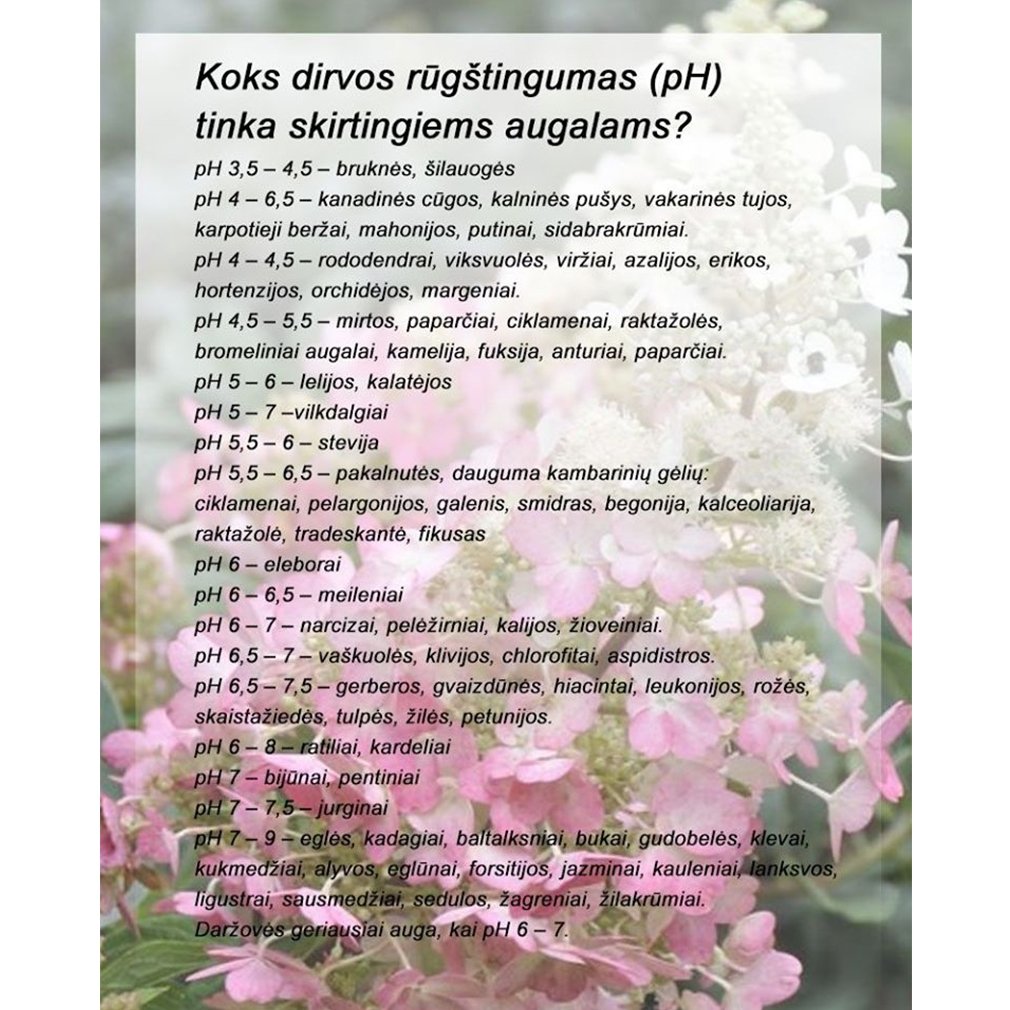 dirvozemio-rugstintojas-ph4-su-mini-laboratorija-500-g