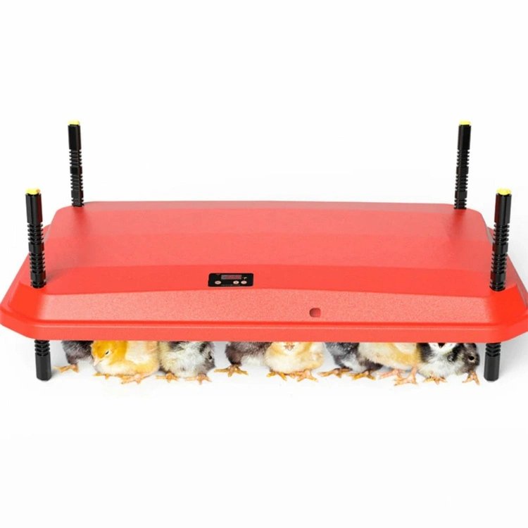 sildymo-plokste-visciukams-ir-kitiems-pauksciu-jaunikliams-60-40-cm-66-w