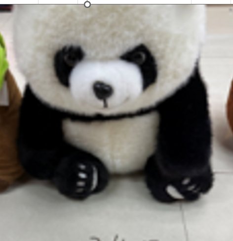 pliusine-panda