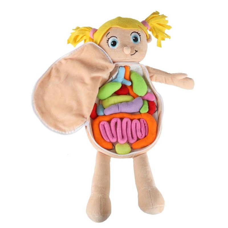 mokomoji-minksta-lele-su-isimamais-zmogaus-organais