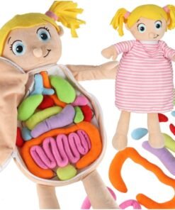Mokomoji minkšta lėlė su išimamais žmogaus organais