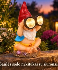 sodo nykštukas su šviečiančiais žiūronais ir saulės panele